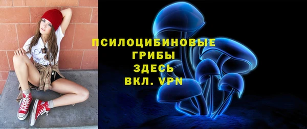 сатива Воткинск