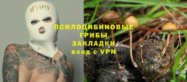 дмт Покровск
