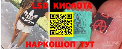 винт Гай