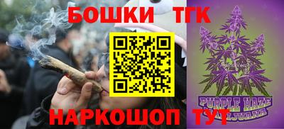 МДПВ Гатчина