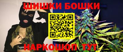 МДПВ Гатчина