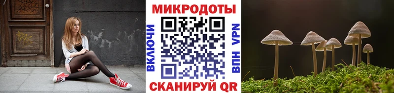 Псилоцибиновые грибы Psilocybine cubensis Ртищево
