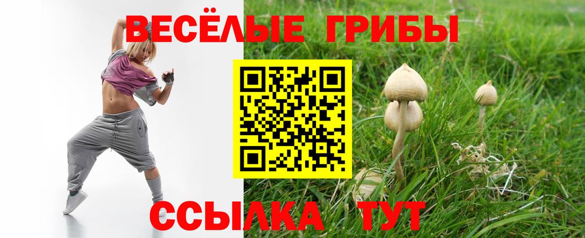 Ртищево  Галлюциногенные грибы Psilocybine cubensis  купить  цена  Псилоцибиновые грибы Magic Shrooms  Вход с VPN 